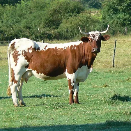 La Nichee فندق مبيت وإفطار 3*