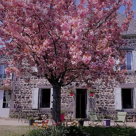 La Nichee 3* Rochefort-Montagne